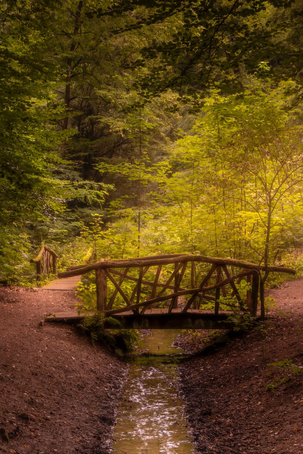 De stilte van de natuur