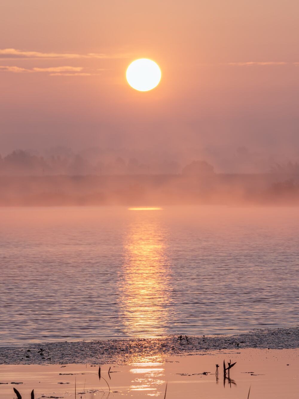 Zonovergoten met mist