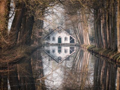 Pareltje in het bos