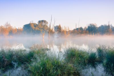 Misty landscape in morning fog