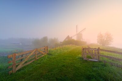 Hollands Polderlandschap tijdens een mistige zonsopkomst