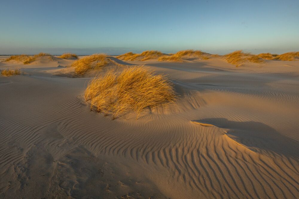 Structuren in het zand in de duinen