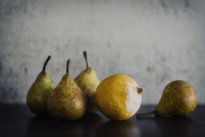 Still life with pears and a moldy lemon