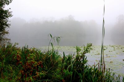 Duinmeer in de nevel