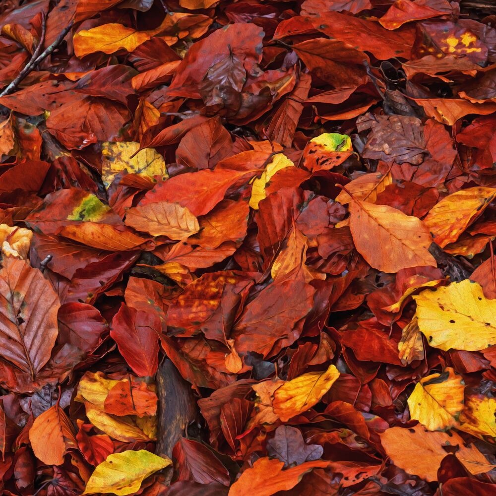 Herfstbladeren in olieverfbewerking