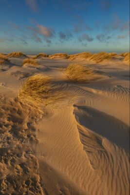 Hard zonlicht met zandstructuren in de duinen