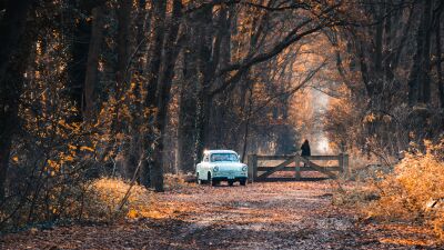 Old car in a colorful autum forest