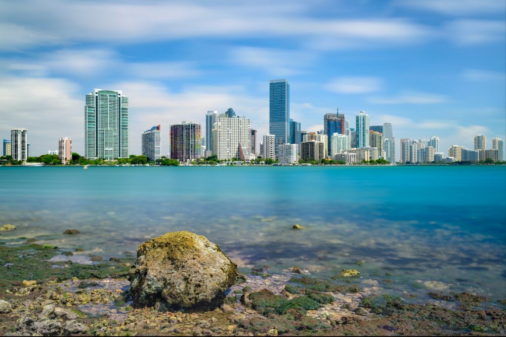 Miami Skyline Rocks