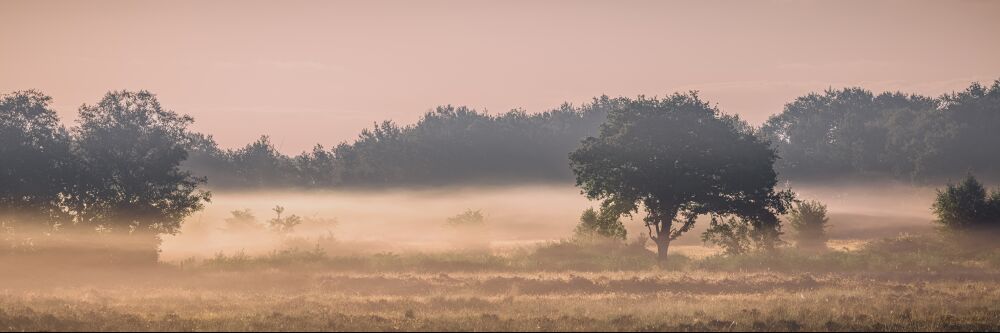 Gasterse Duinen