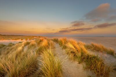 De duinen in het Noorden van Texel in de zomer