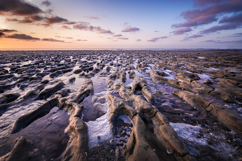 Zonsondergang Op Het Modderstrand