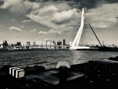 Rotterdam Erasmusbrug 6