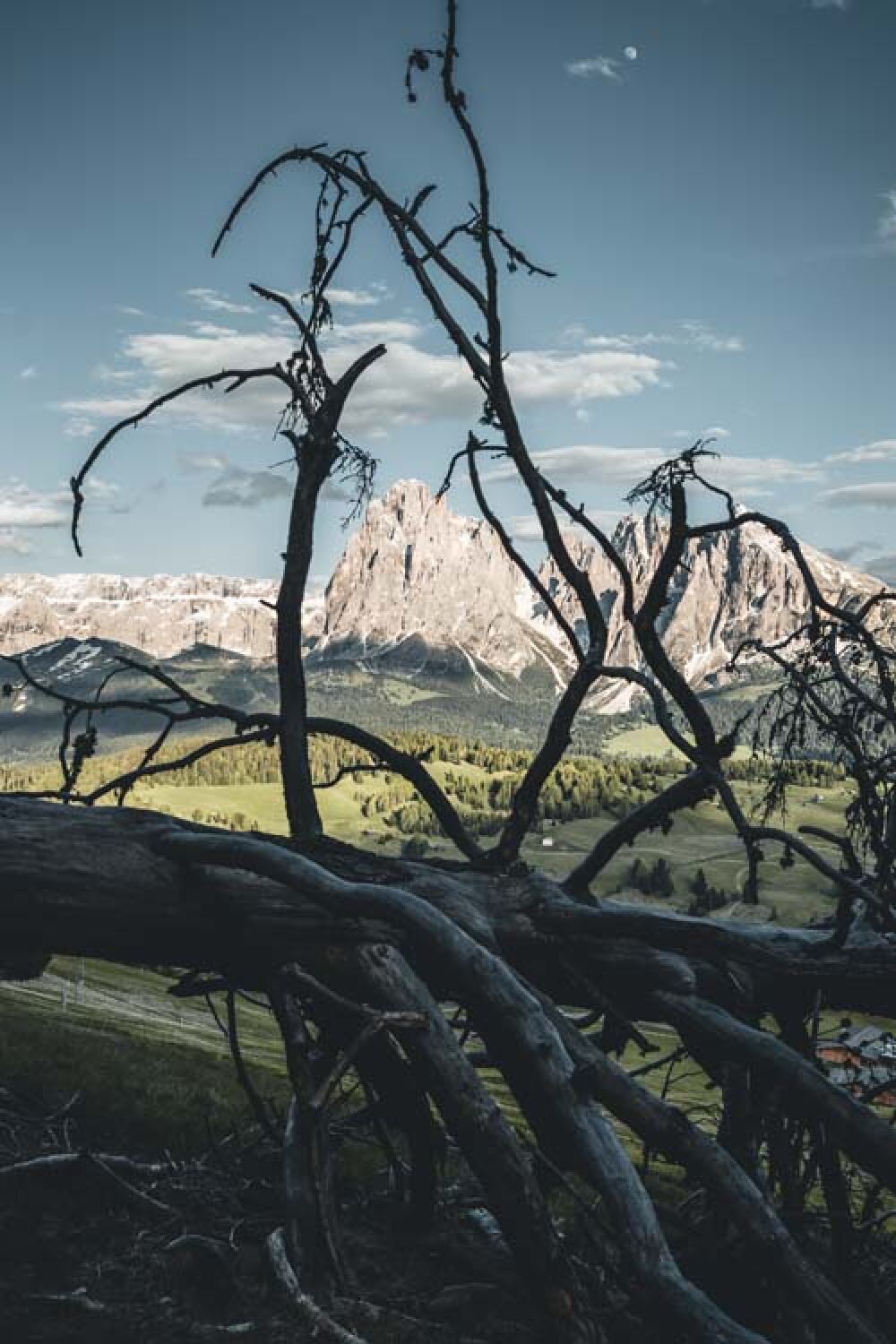 Chasingescape - Natural framing