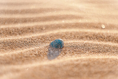 Schelp met een prachtige bokeh achtergrond