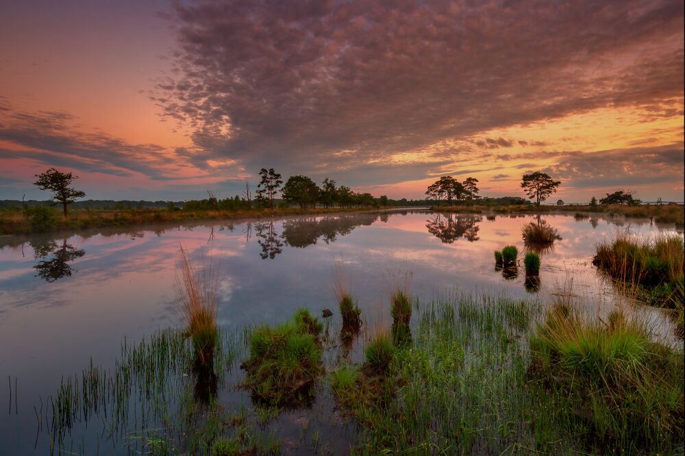 Het wijdste Drenthe landschap bij een vennetje