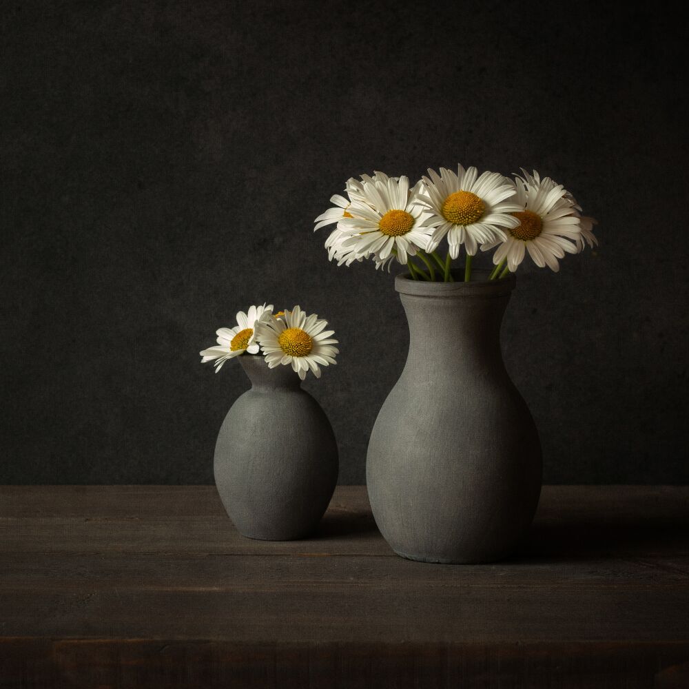 Een duo van vaasjes met margrieten