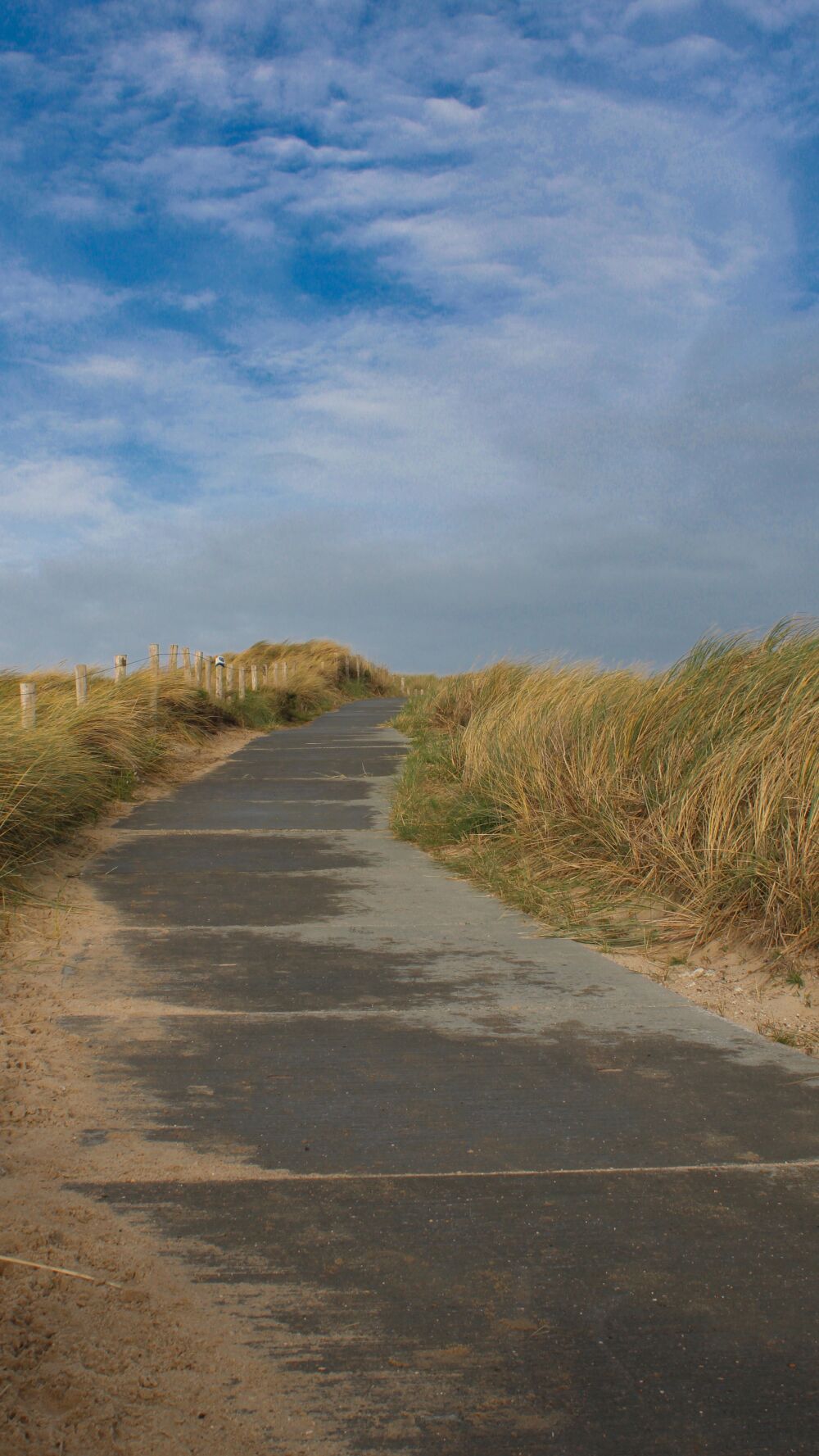 Dune at Dishoek