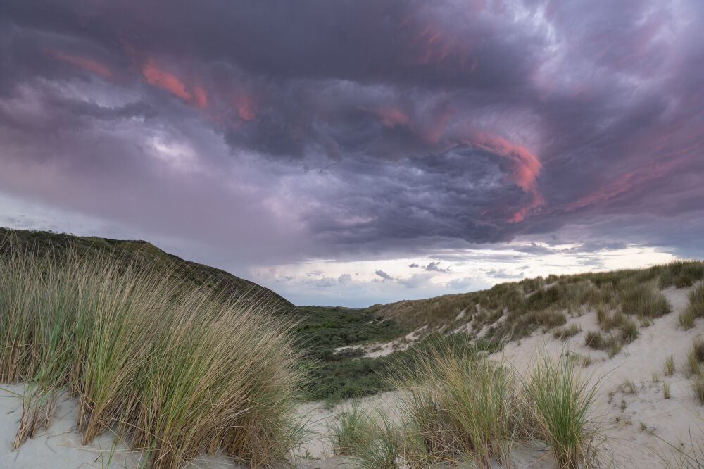 Duinen