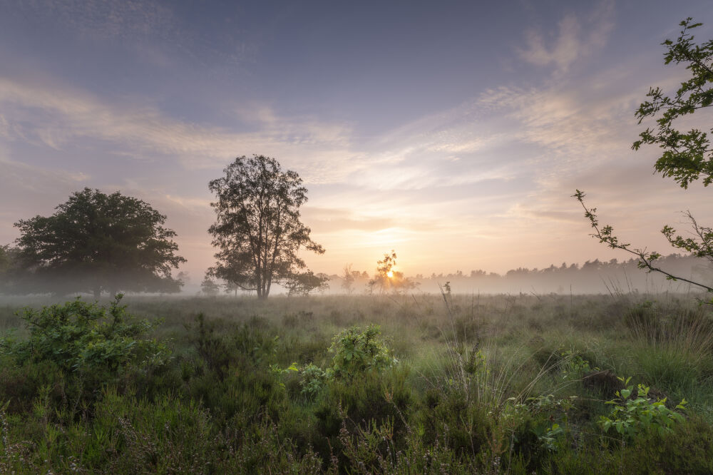 Heiige zonsondergang