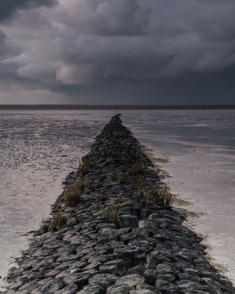 Onstuimige Wadden