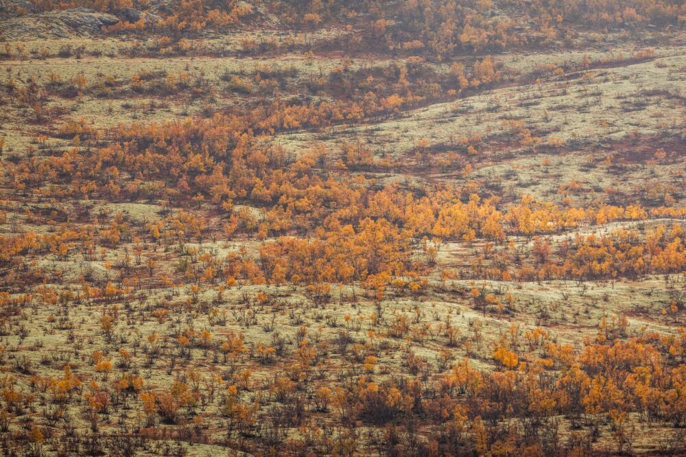 Vergezicht in de herfst in Noorwegen