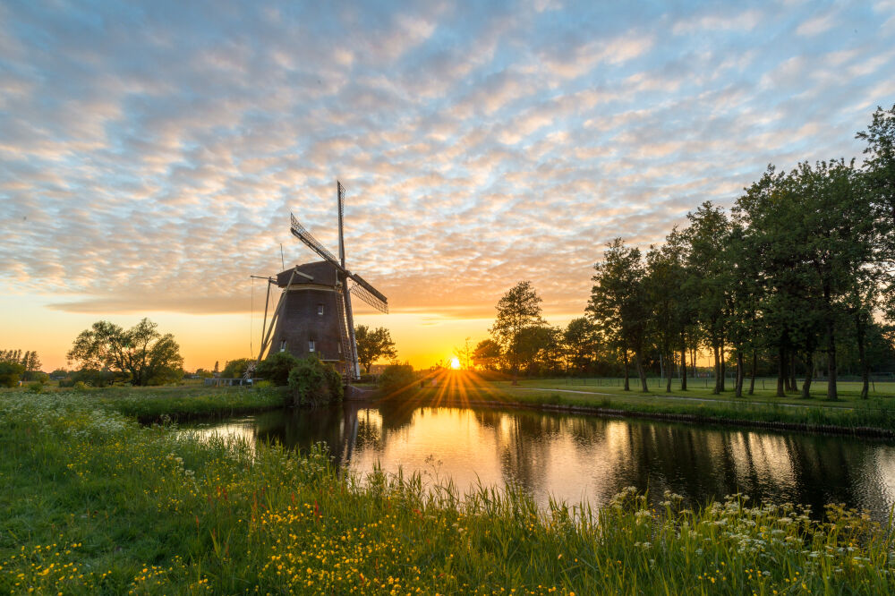 Amsterdam: Molen de 1100 roe (1674)