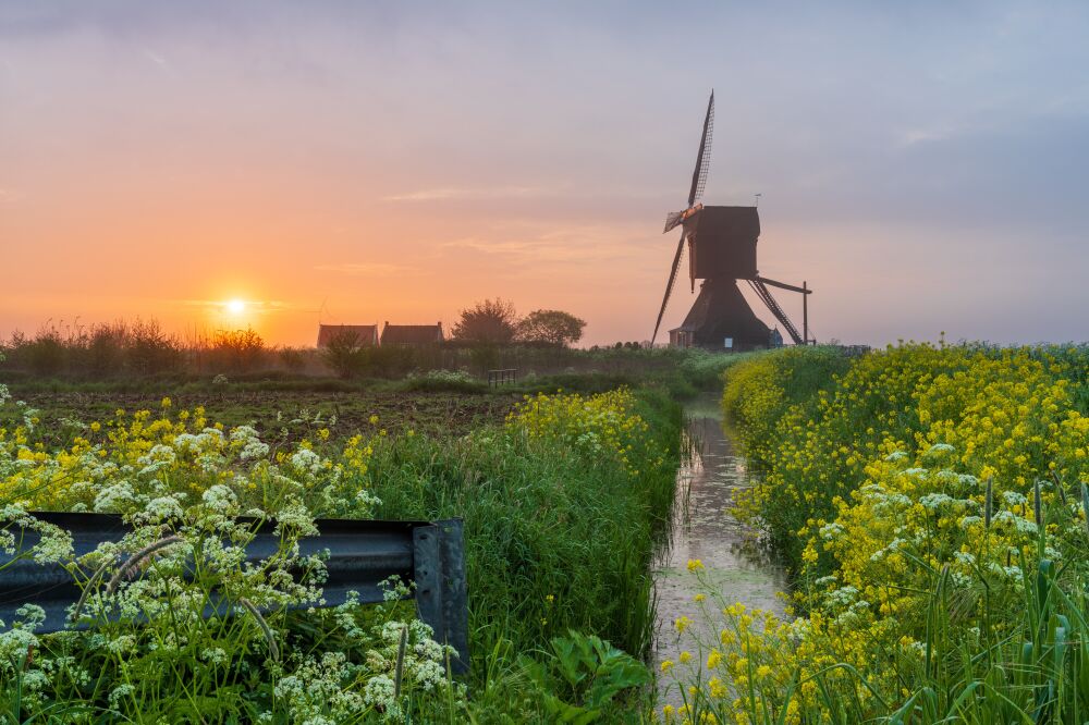 Molen bij zonsopgang