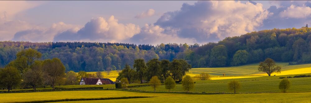 Limburgse heuvellandschap