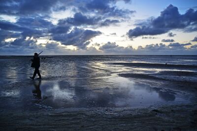 De strandjutter