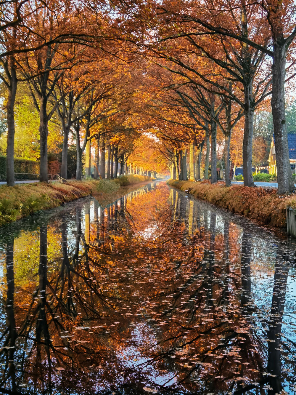 Autumn reflection in Bontebok