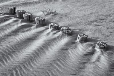 Palenrij op het strand