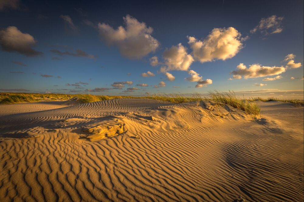 Avond strijklicht over de duinen