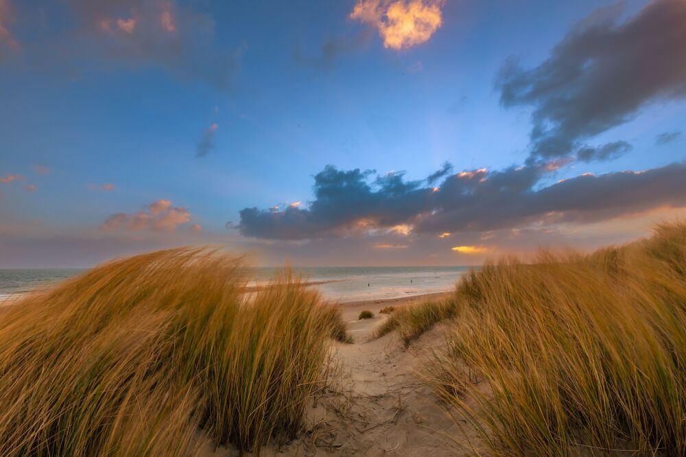 Zonsopkomst in de duinen op Texel