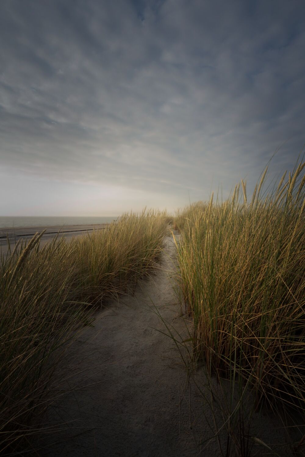 Pad door de Duinen