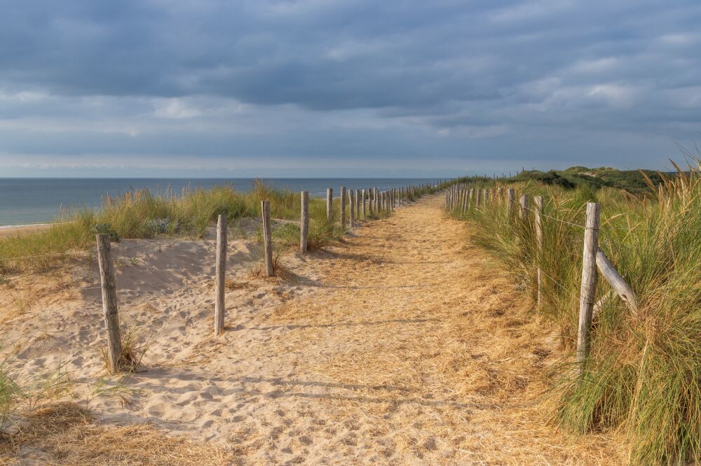 Duinpad Egmond aan Zee