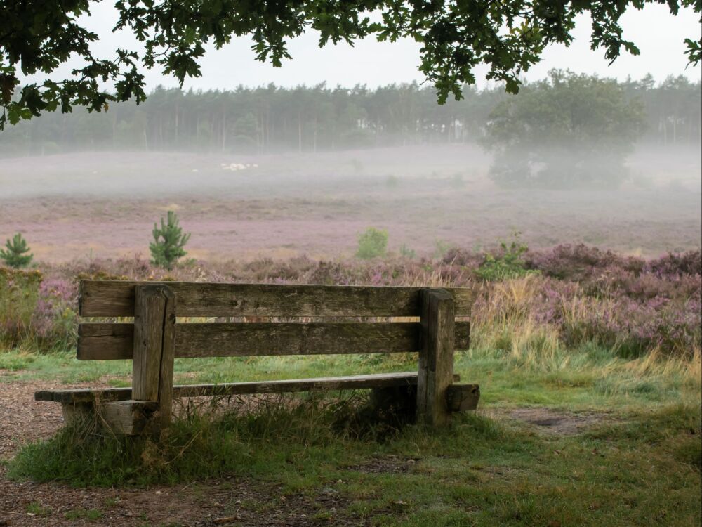 Bankje op de heide