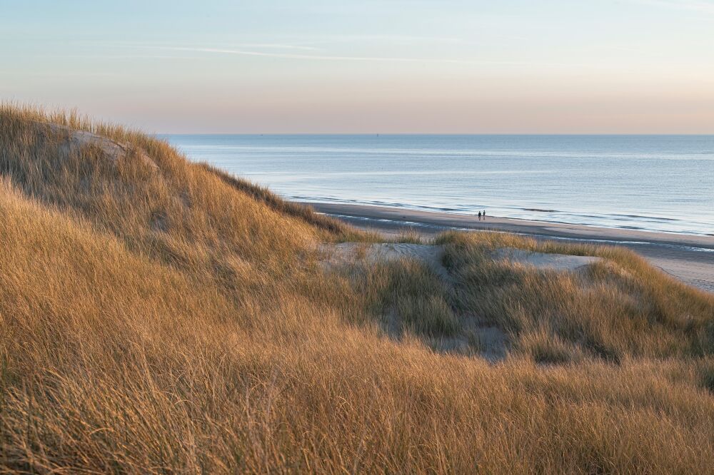 Zicht over het duin richting Stille Strand en zee Castricum aan Zee