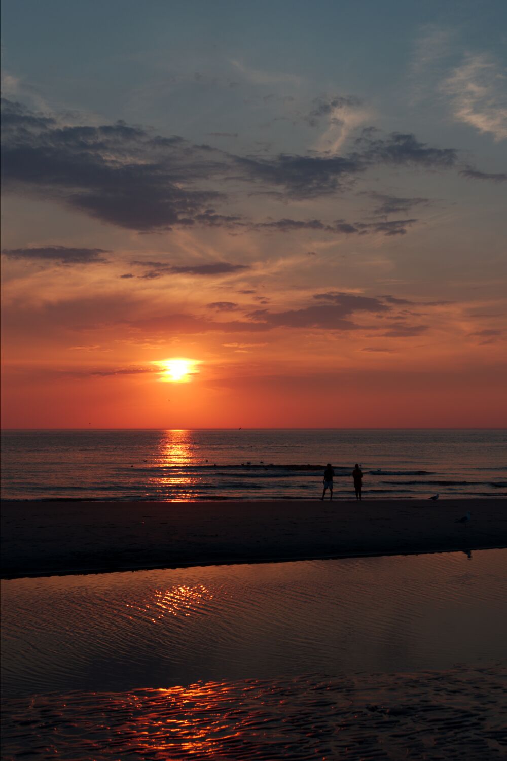 Wandelen op het strand bij zonsondergang op het strand van Texel