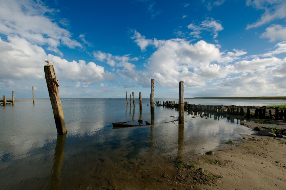 Het oude bootje in het haventje van Sil bij De Cocksdorp op Texel