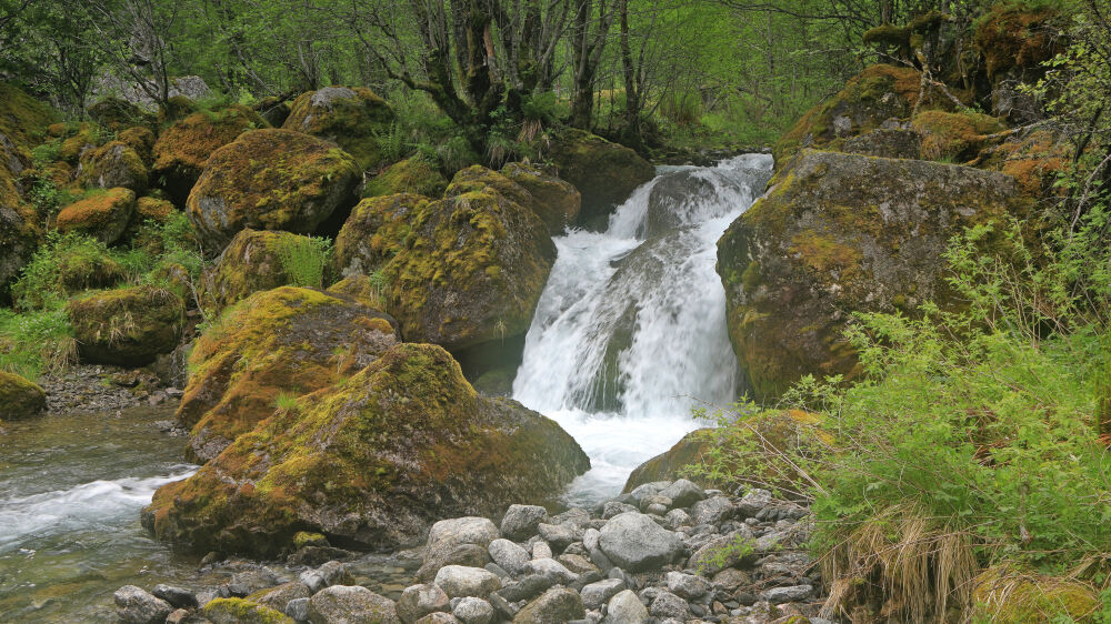 Briksdalsbre Noorwegen