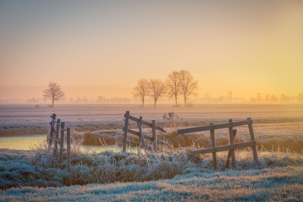 Bevroren Landschap in de Ochtendzon