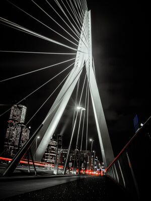 Erasmusbrug - Nightlife