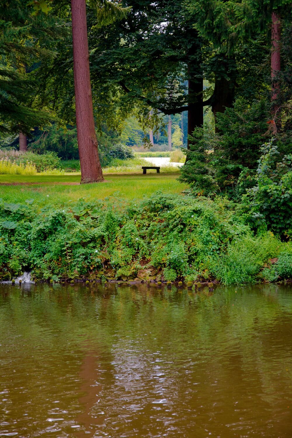 Het bankje in het bos