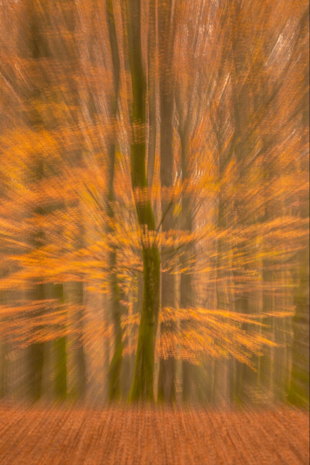 Explosieve bewegingen in de herfst