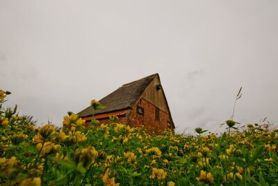 De Boet van Hopman in de duinen bij De Koog op Texel