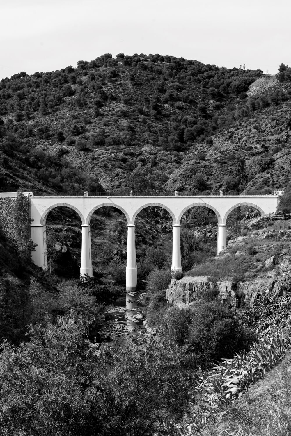 Über die Schlucht Zeitlose Eleganz eines Viadukts