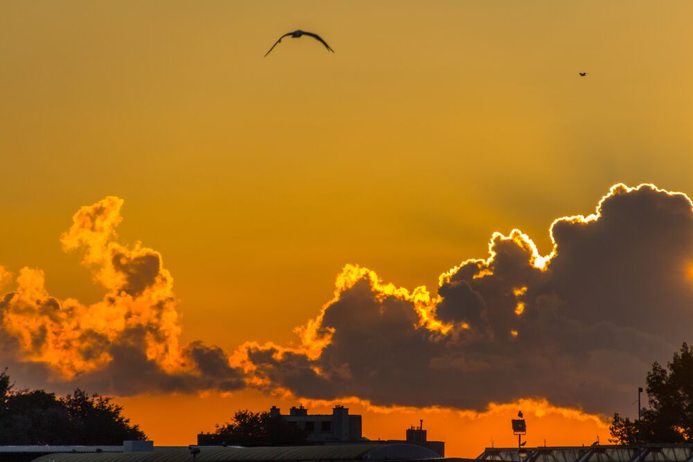 Zonsopkomst boven Oostende