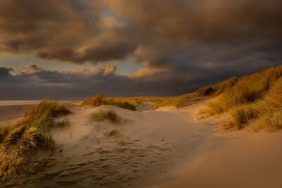 Hollandse wolken tijdens zonsopkomst in de duinen