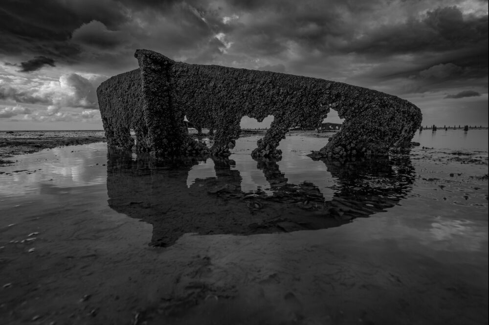 Het wrak in de Waddenzee bij Wierum