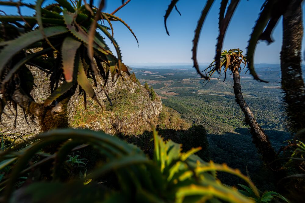 View through God’s Window, Panorama Route, South Africa